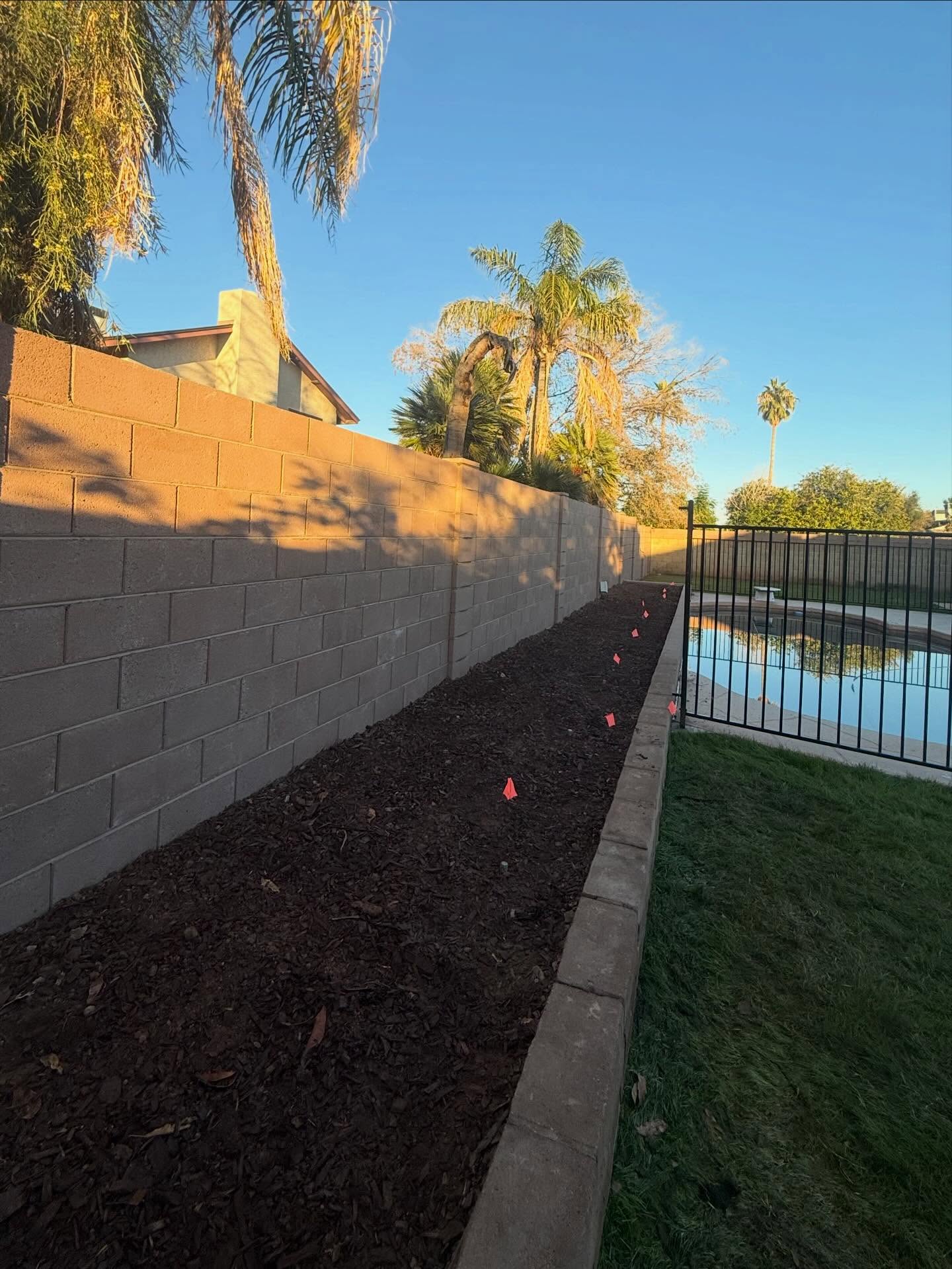 Poolside block wall and planter bed in Phoenix, AZ